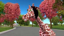 Finger Family Giraffe Cartoon Nursery Rhymes | 3D Finger Family for Children Cartoon Rhymes