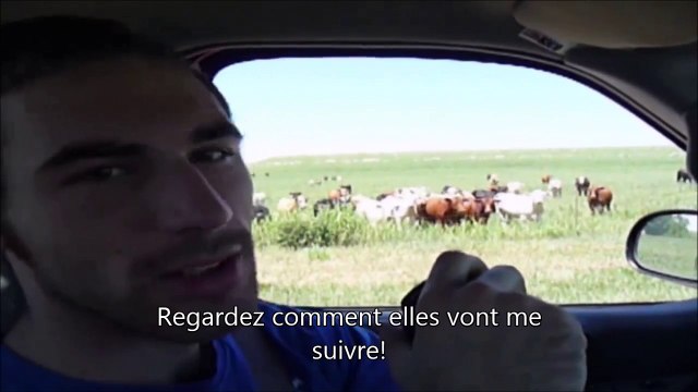 Ce fermier a trouvé plus efficace qu'un chien pour regrouper ses vaches... Dingue!
