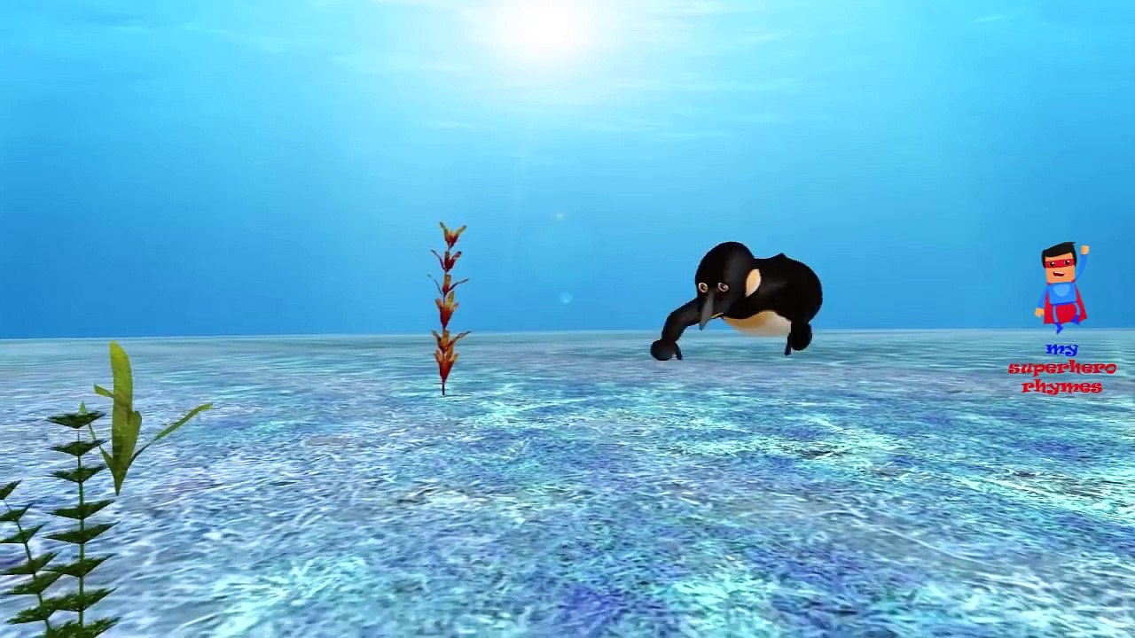 Finger Family Penguins Cartoon Nursery Rhyme | Animated 3D Penguin Song for Kids