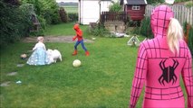Spidergirl gives a big suprise to little spiderman and frozen a Samoyed puppy Superheroes fun