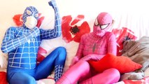 PINK SPIDERGIRL vs SPIDERMAN vs DOCTOR! SNAKE IN THE HOUSE! Fun Superhero in Real Life!