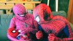 SPIDERMAN, SPIDERBABY & PINK SPIDERGIRL w HULK BABY in Real Life Fun Superhero Parents Movie IRL