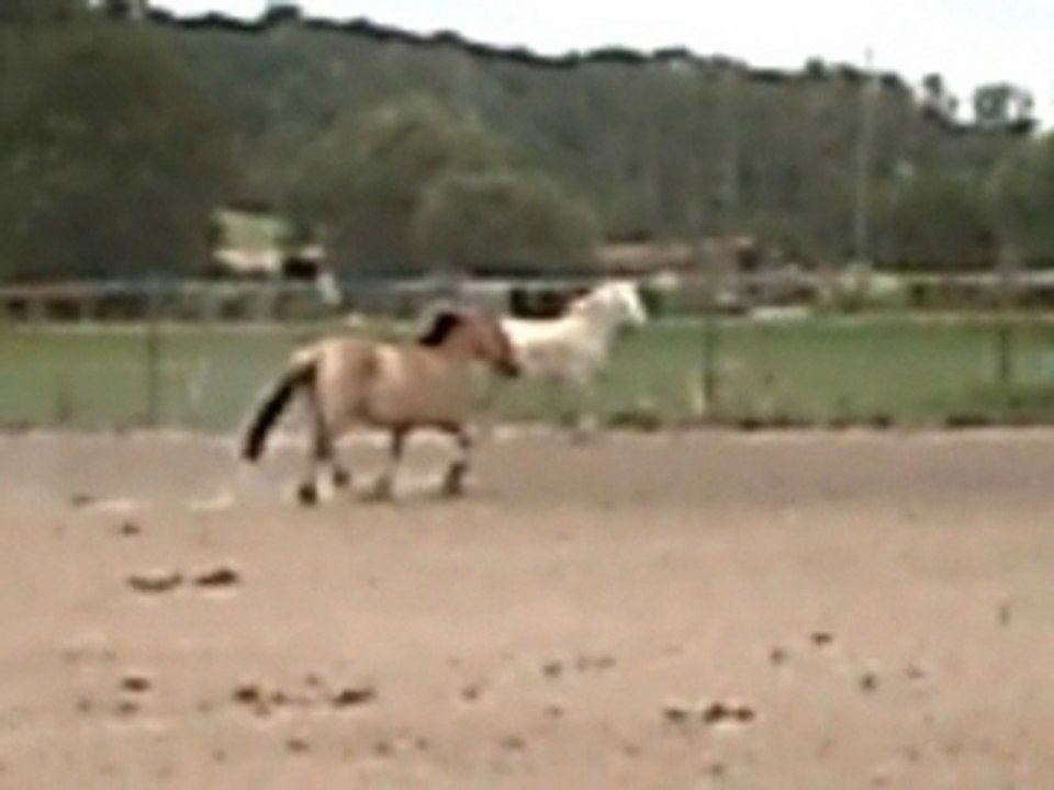 malice aout 2007