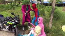 Frozen Elsa vs Pink Spidergirl DIE Spiderman vs The Reaper Fencing Ariel, Anna, Maleficent, & Hulk!