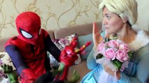 Spiderman vs Frozen Elsa SUMO Wrestling Battle! Spidergirl Maleficent Joker Catwoman Fun Superhero