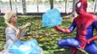 Jack Frost & Spiderman Love Frozen Elsa - Spiderman Webs vs ice Power - Superhero Fun in Real Life