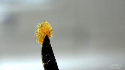 Comment faire de l'huile de cannabis Rosin Tech ? (2016) (FR)