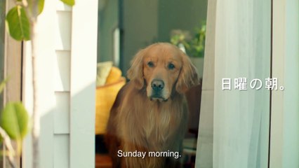 Amazon Prime Commercial _Lion_ (Japan)