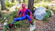 Spiderman Dream w/ Pink Spidergirl, Frozen Elsa is Arrested by Joker & Goes to Jail Pranks Real Life