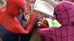 Pink Spidergirl and Spiderman with Spiderbaby in Real Life Superhero Parents