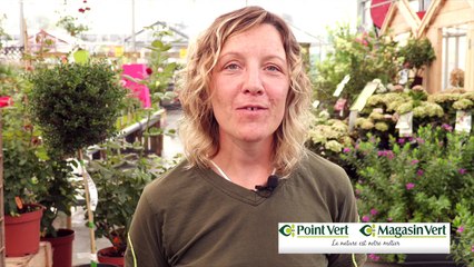 Conseil jardinage : isoler les végétaux du froid pour l'hiver