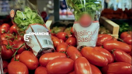 Fines herbes et grands secrets