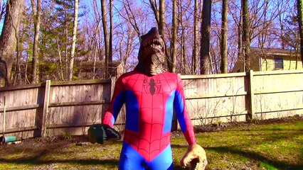 Spiderman & Elsa on Ostriches Vs Joker Venom Harley - Funny Superhero Movie in Real Life