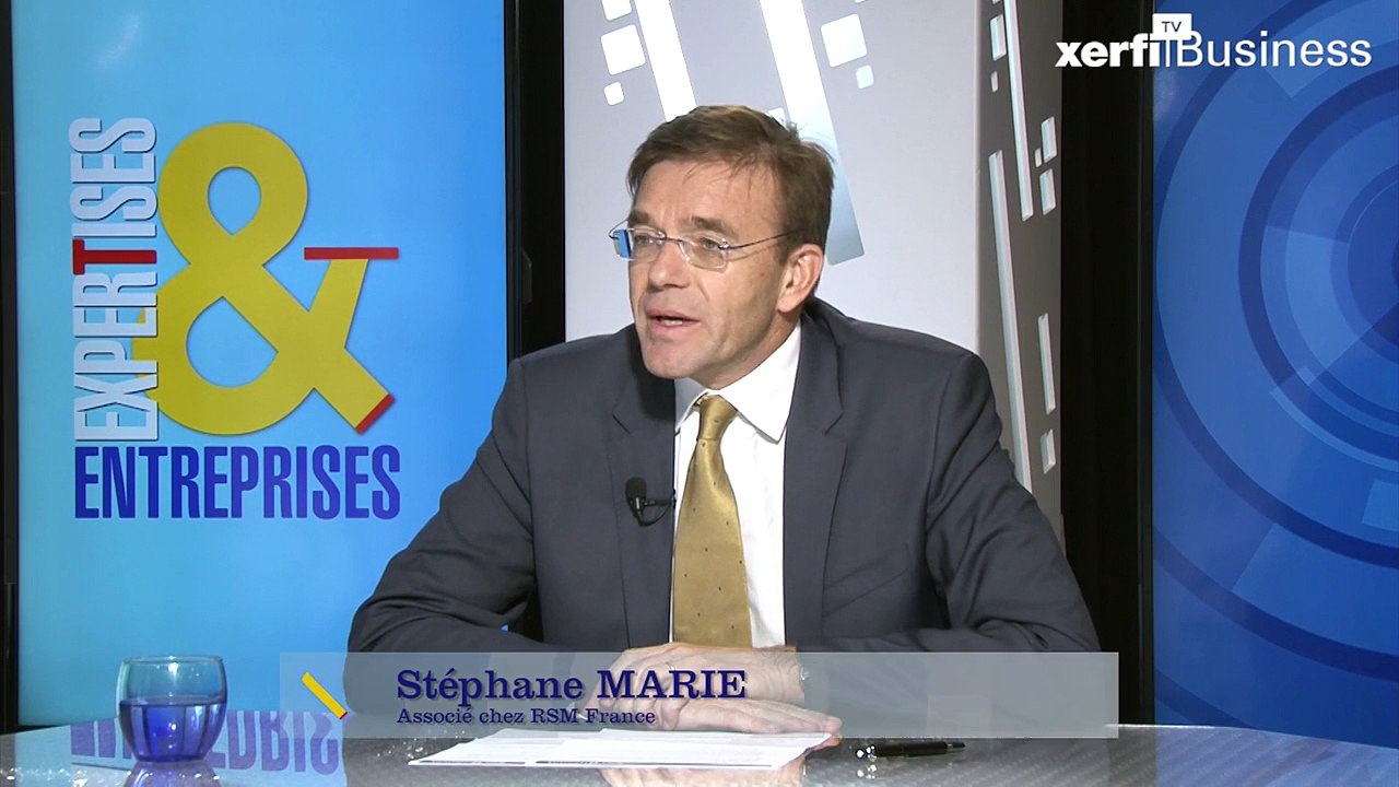 Stéphane Marie, L'impact de la réforme de l’audit sur les entreprises ...