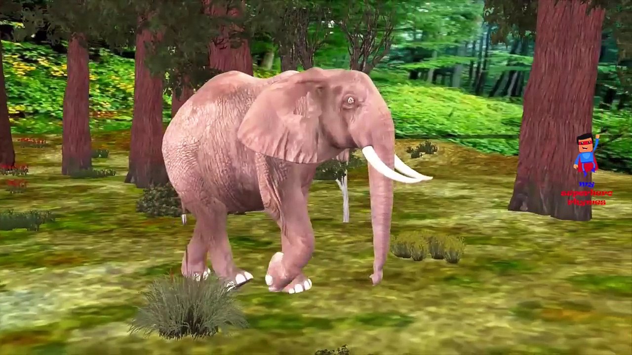 Finger Family Animals Mega Collection | 1 Hour Collection of Animals Finger Family Rhymes