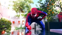 Spiderman vs Venom disguised as Hulk Spiderman Prank in Real Life Superhero Funny Movie