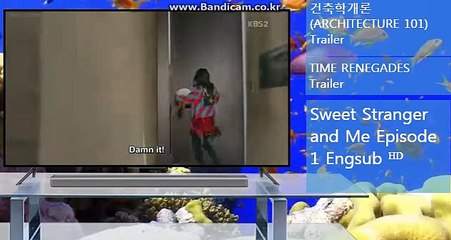 솔루션제작,사다리자판기,토토임대,토토제작,각종솔루션제작