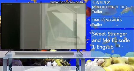 [solution]통합프로그램제작,밸런스제작,스포츠에관한 모든것