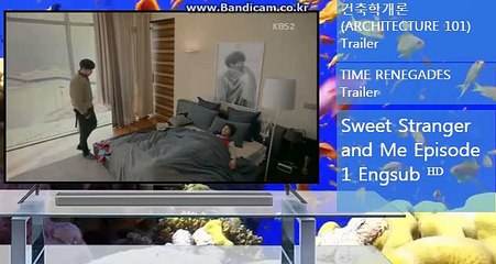 #토토솔루션(17년경력프로그래머,6년경력디자이너) 24시간 직원항시대기