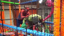 Doctor Spidergirl Sick Spiderman Doctor Pink Spidergirl & Frozen Elsa Birthday Funny Superheroes IRL