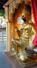 Discover the Latest Arrivals in Coconut 🌴