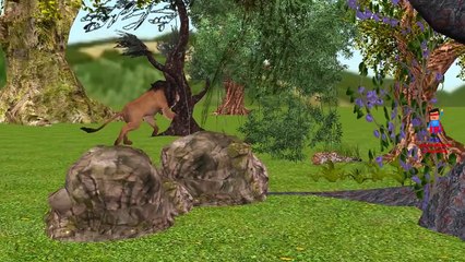 Lion Vs Tiger Cartoon Fight - Lion attacks Tigers And Singing Finger Family Children Nursery Rhymes