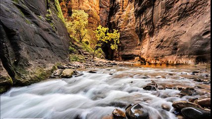 Fine Art and Nature Photography by Thomas Schoeller