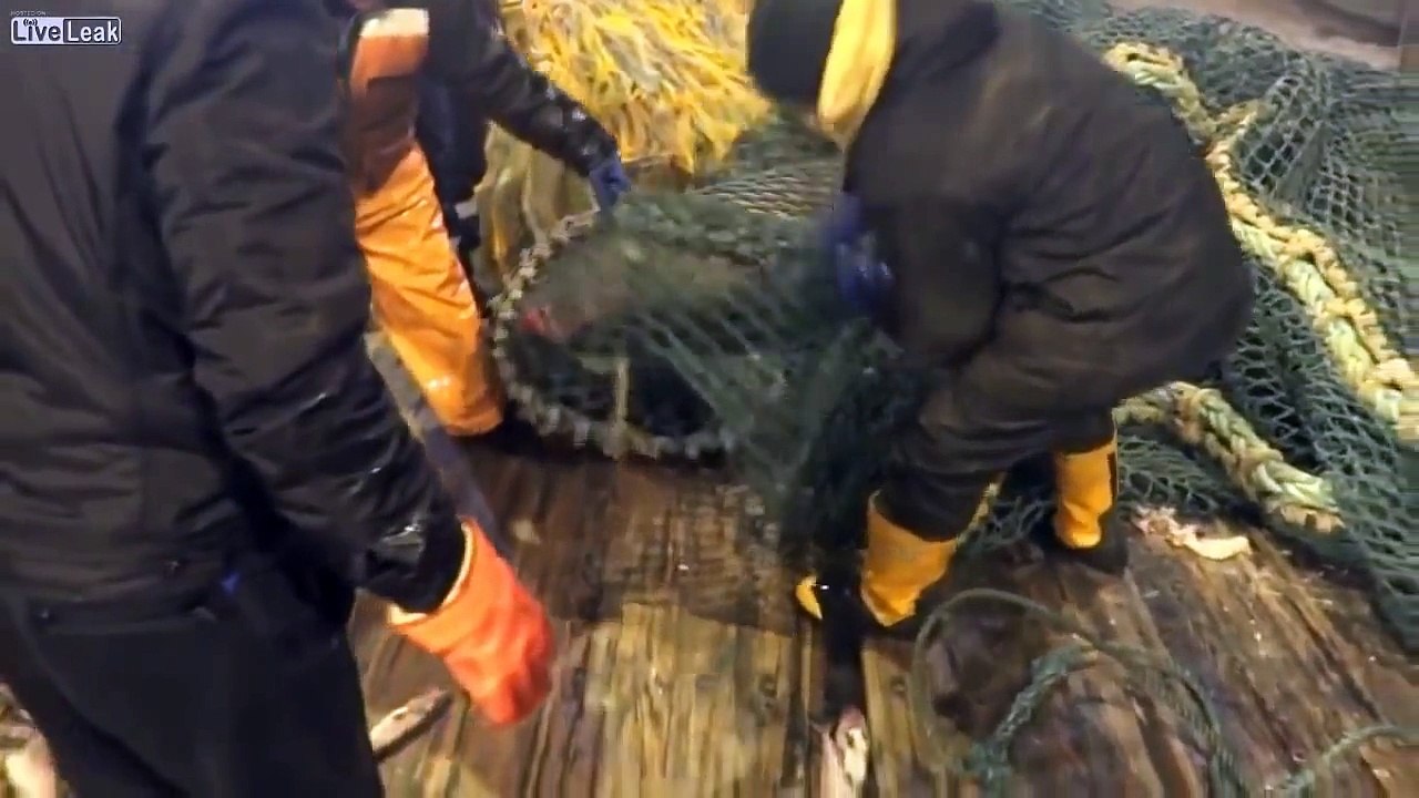 Ces pêcheurs font une prise inhabituelle qui va ensuite semer la panique à bord du bateau!