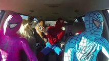 SPIDER FAMILY CAR DANCE SPIDERMAN VS PINK SPIDERGIRL VS SPIDERKID FUNNY SUPERHERO MOVIES REAL LIFE