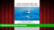 Best book  The Wonders of Colloidal Silver: Nature s Super Antibiotic ~ Revised and Indexed online