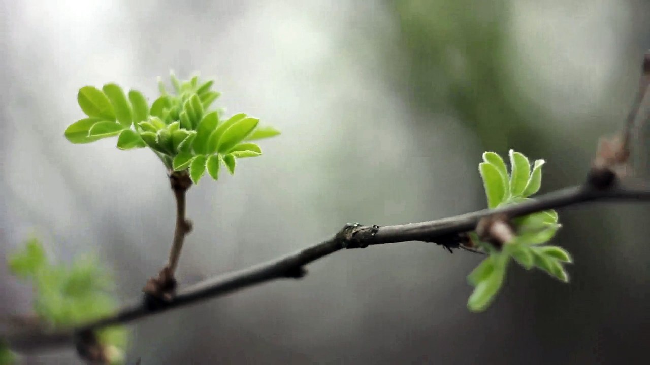 Test video 12