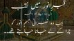 Qabr-e-Anwar main naqab | Hazoor PBUH ka jisam mubark chori karny waly  | dil dehla deny wala wqia