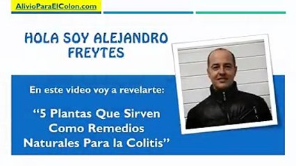 5 Plantas naturales que sirven para la colitis