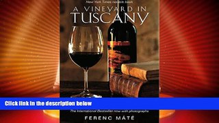 Big Deals  A Vineyard in Tuscany: Illustrated Edition  Best Seller Books Best Seller