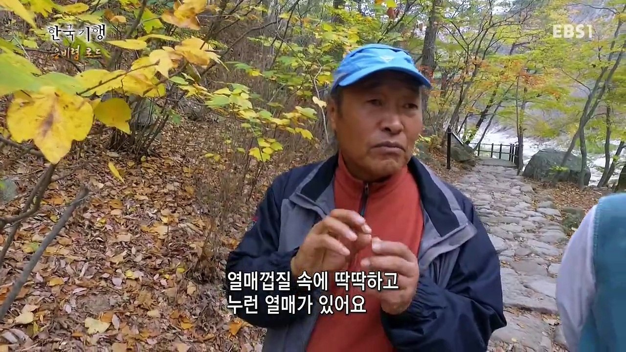 은비령-2-단풍이_지기_전에_설악-20161115