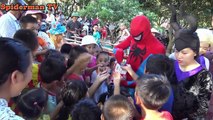 Spiderman vs elsa vs Wolfman throw the ball battle venom vs maleficent fun superheroes in real life