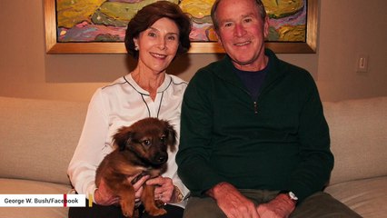 Meanwhile, George W. Bush Adopts An Adorable Puppy