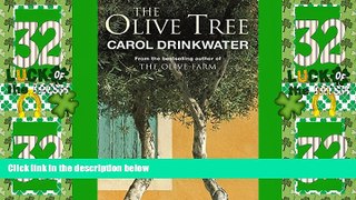 Big Deals  The Olive Tree  Best Seller Books Best Seller