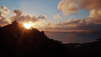 Pokémon Soleil - Pub Japon Masahiro Tanaka