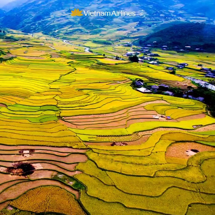 Mù Cang Chải 2016
