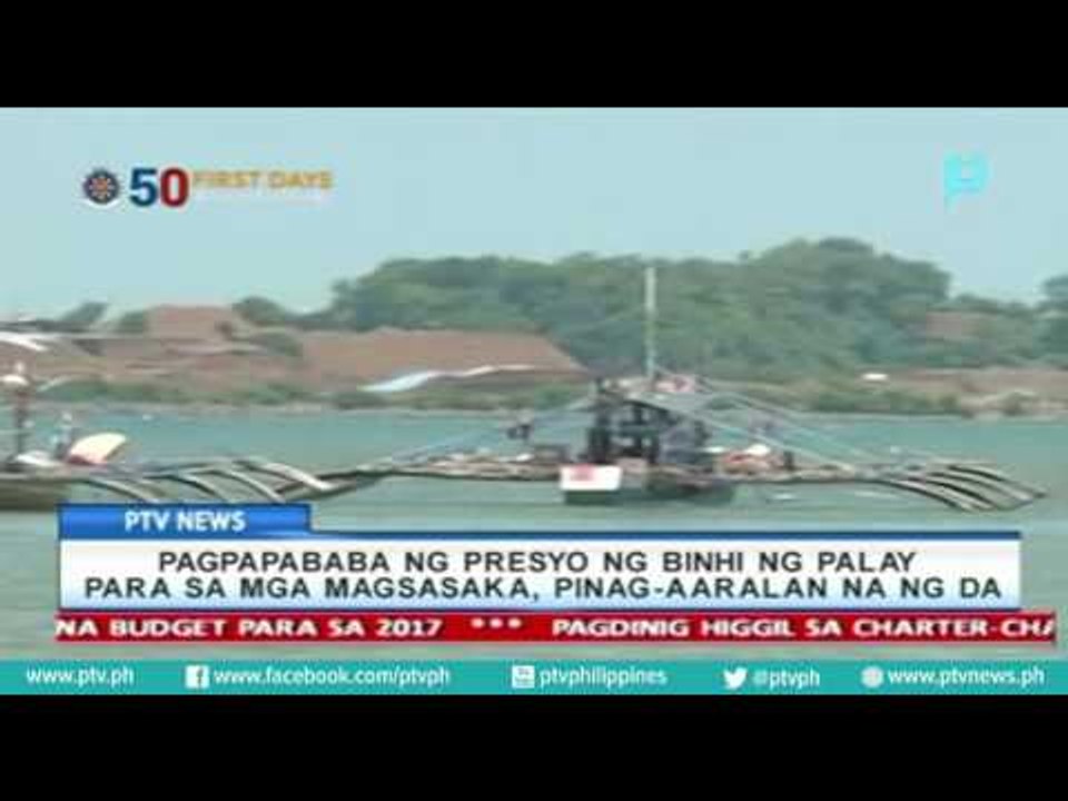 Pagpapababa ng presyo ng binhi ng palay para sa mga magsasaka, pinag-aaralan na ng DA