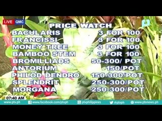 Price Watch: Quezon Memorial Circle