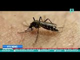 Panibagong kaso ng Zika virus, muling naitala sa Florida [08|20|16]