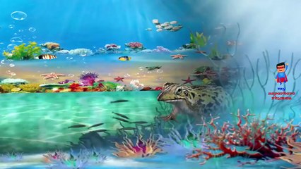 Finger Family Animals Cartoon Nursery Rhymes Collection | Animals 3D Cartoon 60 Minutes Plus