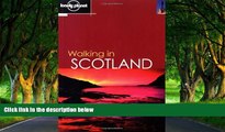 Deals in Books  Lonely Planet Walking in Scotland  Premium Ebooks Online Ebooks