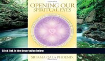 Big Deals  Opening Our Spiritual Eyes: Karmic Clearing for Humanity and the Earth  Full Ebooks