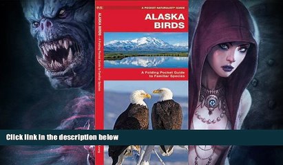 Big Sales  Alaska Birds: A Folding Pocket Guide to Familiar Species (Pocket Naturalist Guide