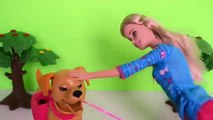 Frozen Anna Arruma Casa e Recebe Barbie Com Cachorro!!! Em Portugues Tototoykids