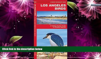 Deals in Books  Los Angeles Birds: A Folding Pocket Guide to Familiar Species (Pocket Naturalist