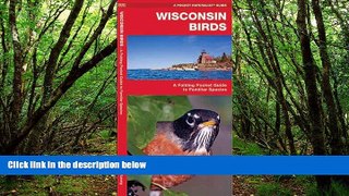 Buy NOW  Wisconsin Birds: A Folding Pocket Guide to Familiar Species (Pocket Naturalist Guide